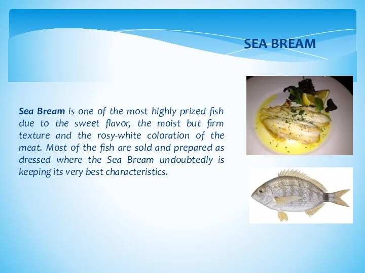 Sea Bream is one of the most highly prized fish