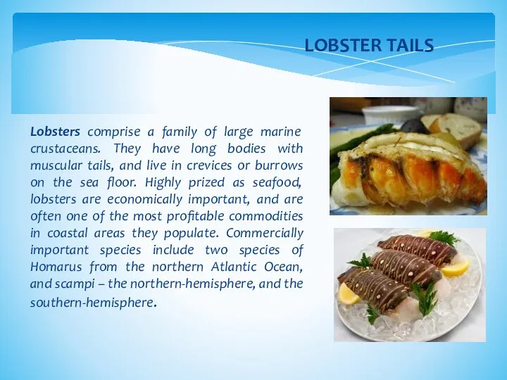 Lobsters comprise a family of large marine crustaceans. They have