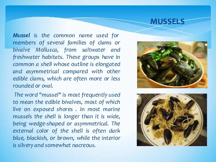 Mussel is the common name used for members of several