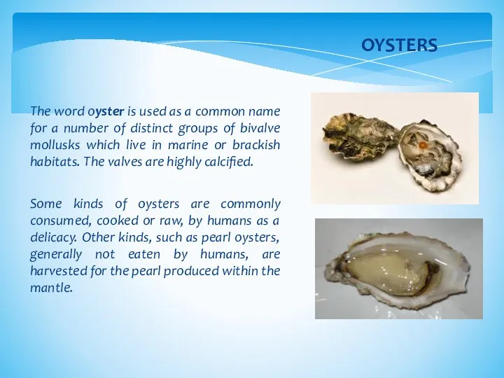 The word oyster is used as a common name for