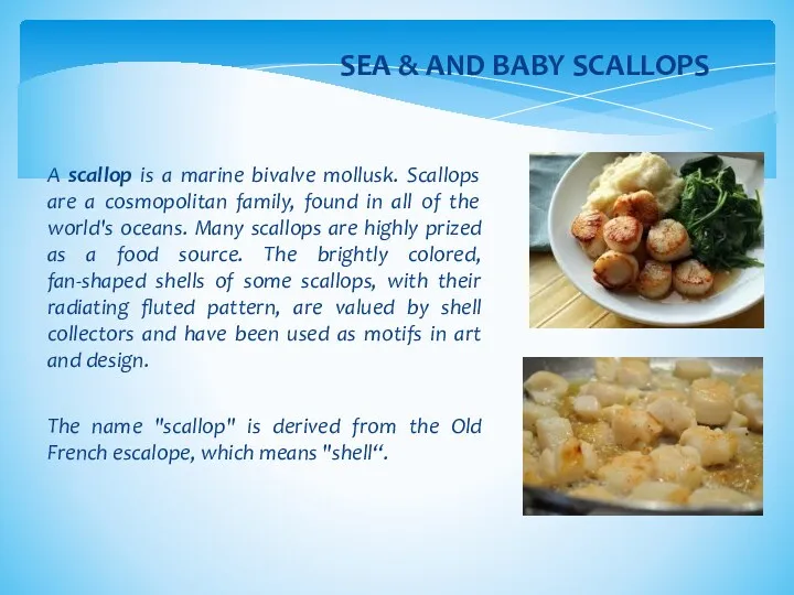 A scallop is a marine bivalve mollusk. Scallops are a
