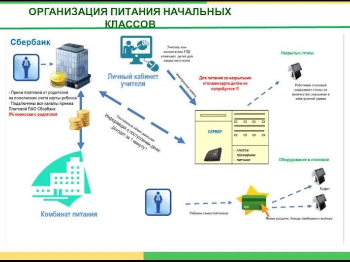 ОРГАНИЗАЦИЯ ПИТАНИЯ НАЧАЛЬНЫХ КЛАССОВ