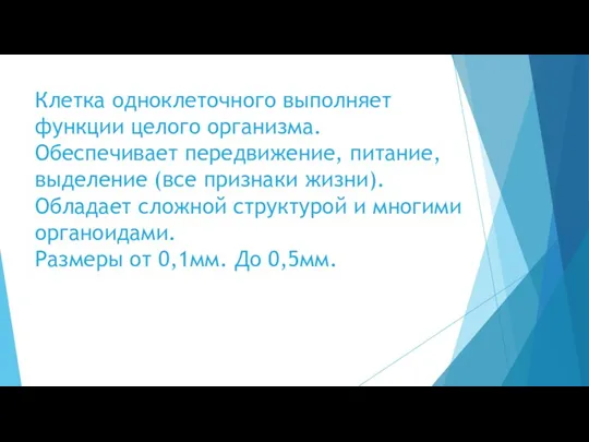 Клетка одноклеточного выполняет функции целого организма. Обеспечивает передвижение, питание, выделение