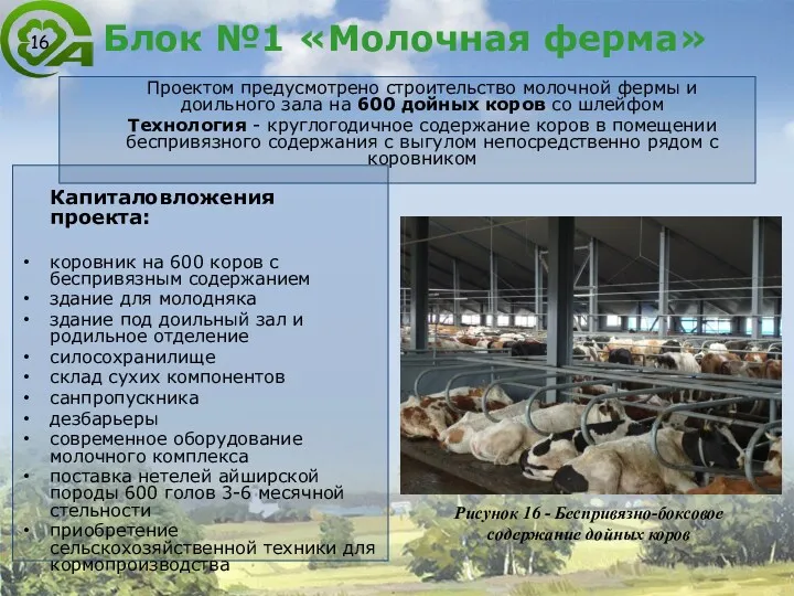 Блок №1 «Молочная ферма» Капиталовложения проекта: коровник на 600 коров