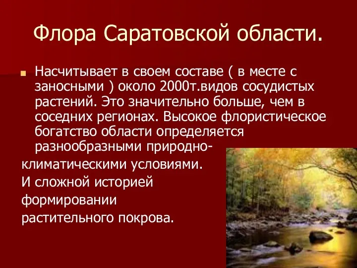 Флора Саратовской области. Насчитывает в своем составе ( в месте