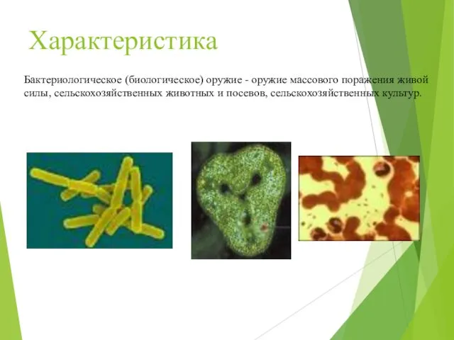 Характеристика Бактериологическое (биологическое) оружие - оружие массового поражения живой силы, сельскохозяйственных животных и посевов, сельскохозяйственных культур.