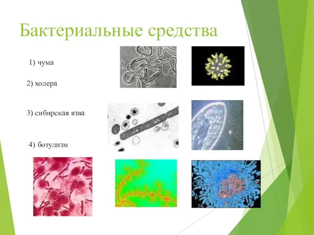 Бактериальные средства 1) чума 2) холера 3) сибирская язва 4) ботулизм