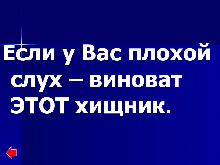 Если у Вас плохой слух – виноват ЭТОТ хищник.