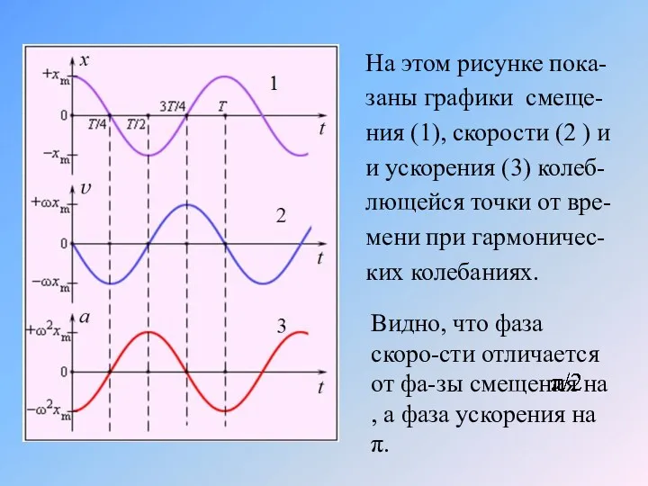 На этом рисунке пока-заны графики смеще-ния (1), скорости (2 )