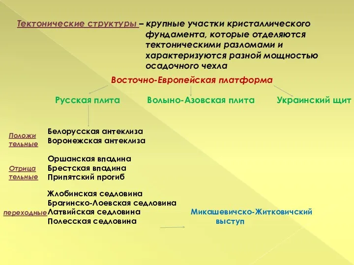 Тектонические структуры – крупные участки кристаллического фундамента, которые отделяются тектоническими