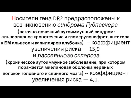 Носители гена DR2 предрасположены к возникновению синдрома Гудпасчера (легочно-почечный аутоиммунный