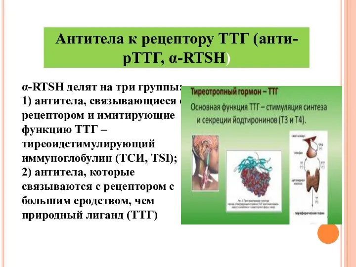 α-RTSH делят на три группы: 1) антитела, связывающиеся с рецептором