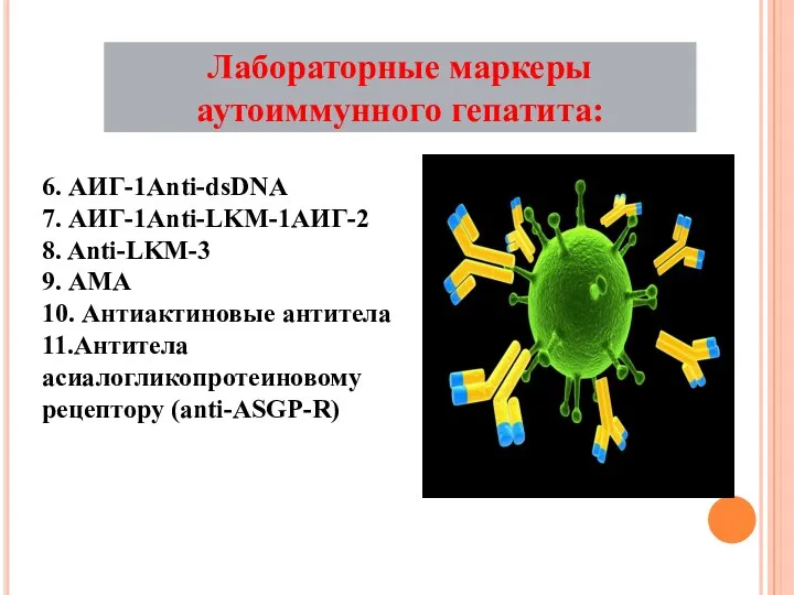 6. АИГ-1Аnti-dsDNA 7. АИГ-1Аnti-LKM-1АИГ-2 8. Anti-LKM-3 9. АМА 10. Антиактиновые антитела 11.Антитела асиалогликопротеиновому рецептору (anti-ASGP-R)