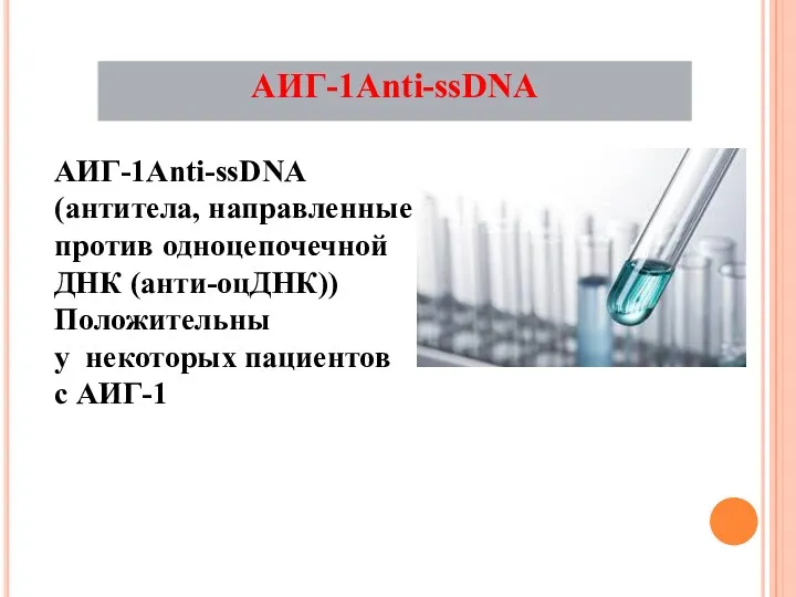 АИГ-1Аnti-ssDNA (антитела, направленные против одноцепочечной ДНК (анти-оцДНК))Положительны у некоторых пациентов с АИГ-1