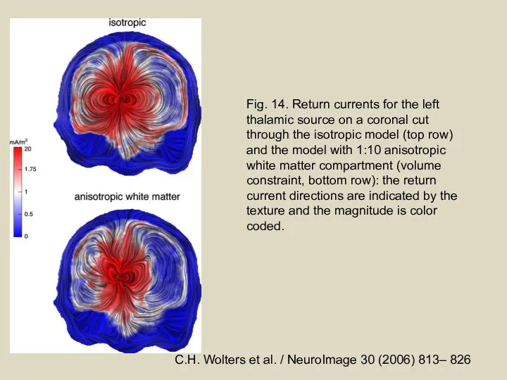 Fig. 14. Return currents for the left thalamic source on