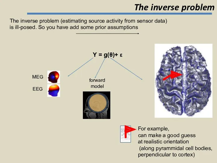 Y = g(θ)+ ε forward model MEG The inverse problem