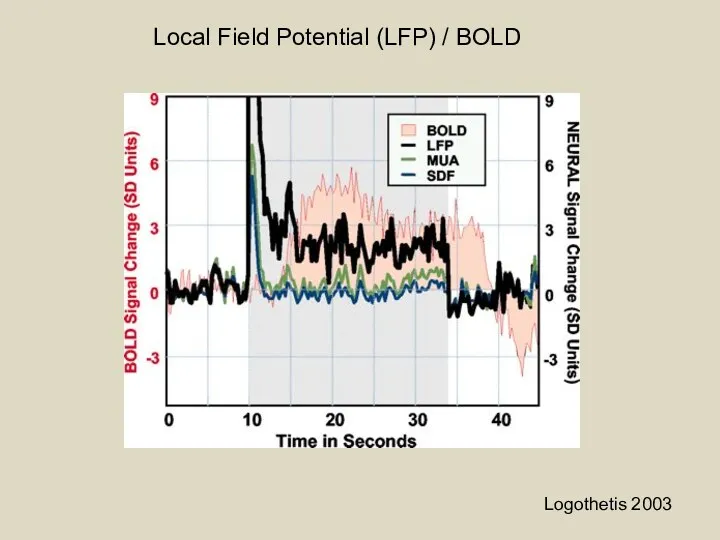 Logothetis 2003 Local Field Potential (LFP) / BOLD