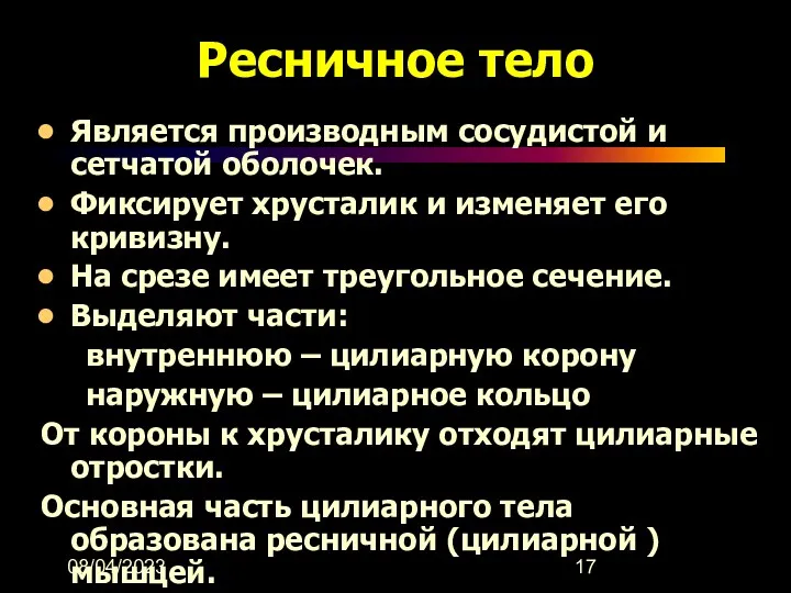 08/04/2023 Ресничное тело Является производным сосудистой и сетчатой оболочек. Фиксирует