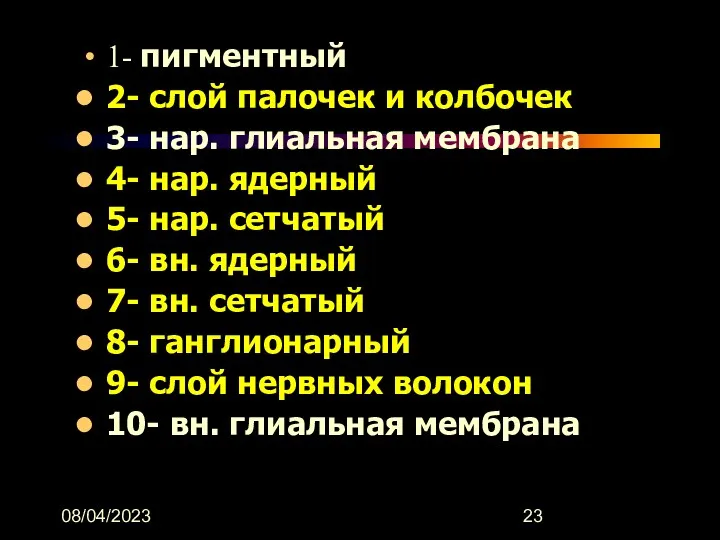 08/04/2023 1- пигментный 2- слой палочек и колбочек 3- нар.