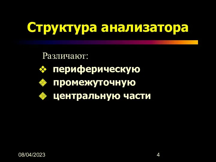 08/04/2023 Структура анализатора Различают: периферическую промежуточную центральную части