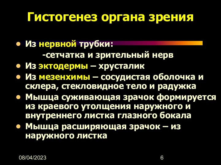 08/04/2023 Гистогенез органа зрения Из нервной трубки: -сетчатка и зрительный