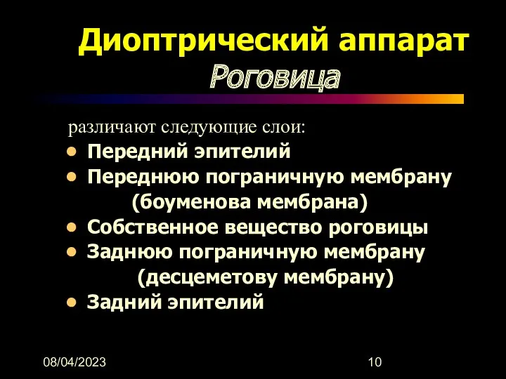 08/04/2023 Диоптрический аппарат Роговица различают следующие слои: Передний эпителий Переднюю