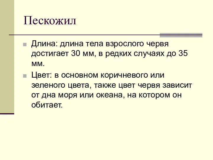 Пескожил Длина: длина тела взрослого червя достигает 30 мм, в