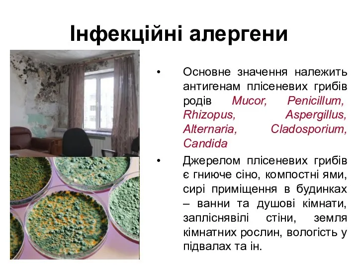 Інфекційні алергени Основне значення належить антигенам плісеневих грибів родів Mucor,