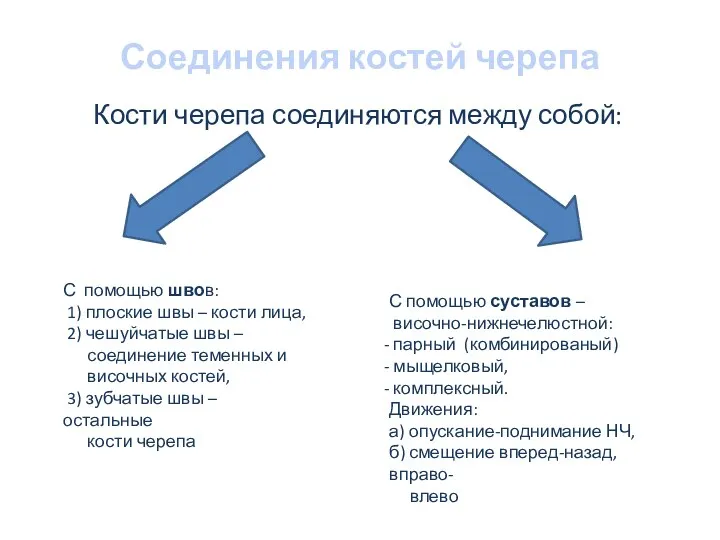 Соединения костей черепа Кости черепа соединяются между собой: С помощью