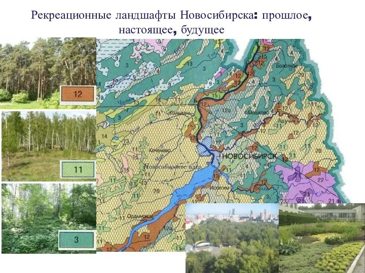 Рекреационные ландшафты Новосибирска: прошлое, настоящее, будущее