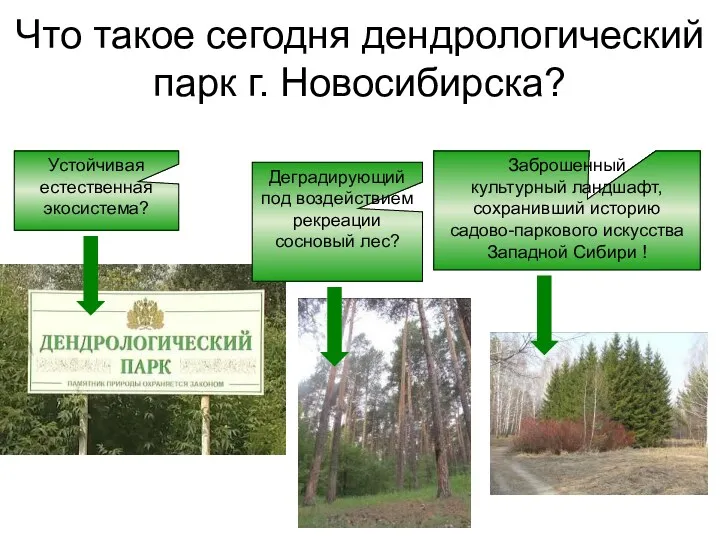 Что такое сегодня дендрологический парк г. Новосибирска? Устойчивая естественная экосистема?