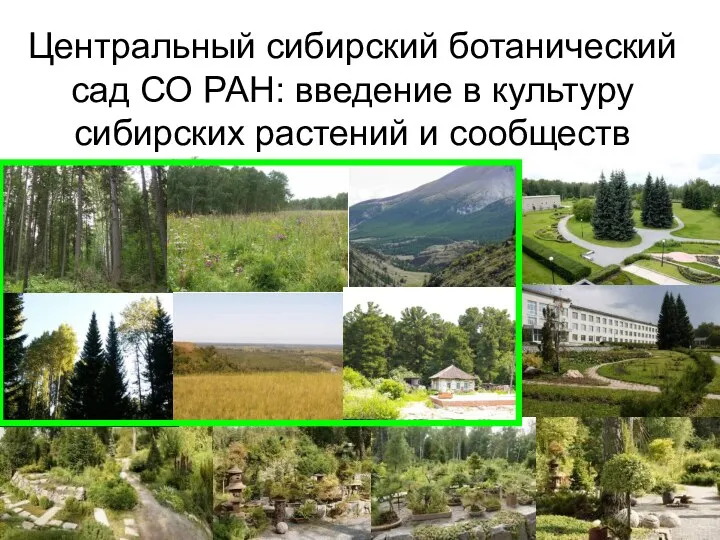 Центральный сибирский ботанический сад СО РАН: введение в культуру сибирских растений и сообществ