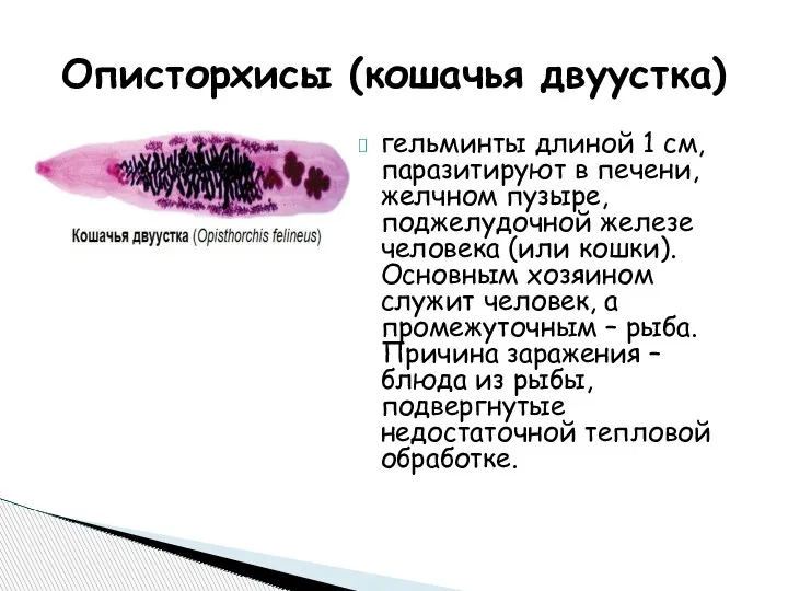 гельминты длиной 1 см, паразитируют в печени, желчном пузыре, поджелудочной