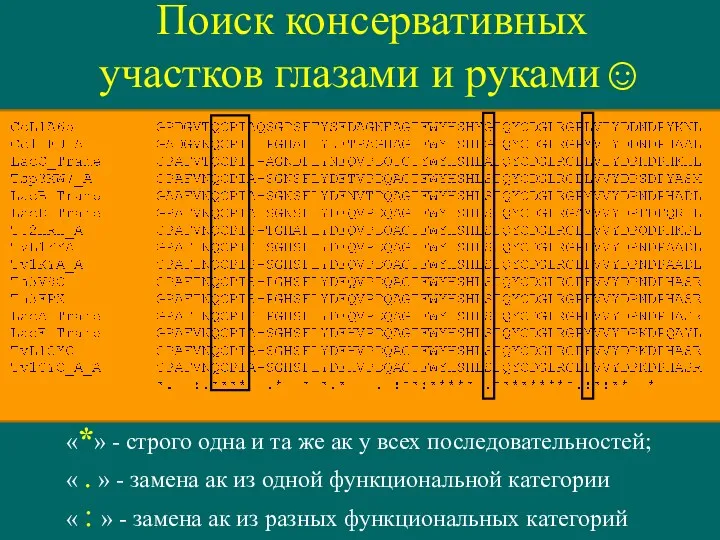 Поиск консервативных участков глазами и руками☺ «*» - строго одна