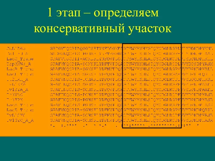 1 этап – определяем консервативный участок