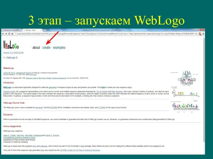 3 этап – запускаем WebLogo