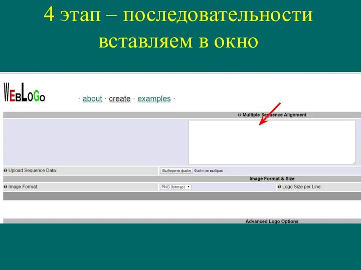 4 этап – последовательности вставляем в окно