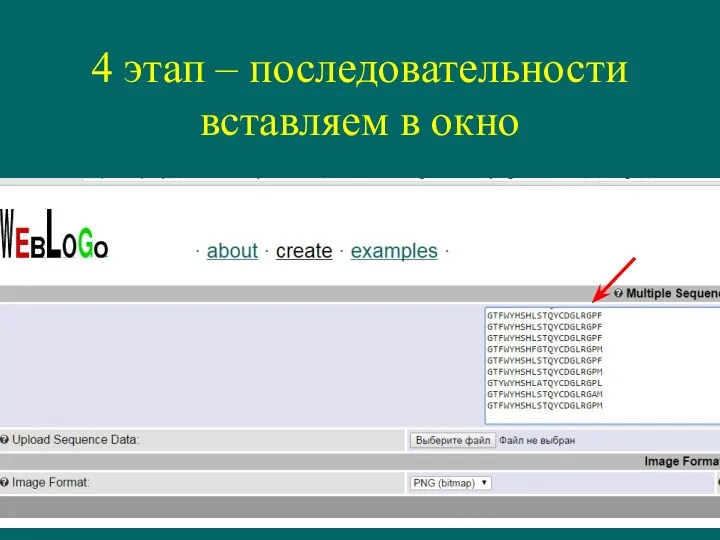 4 этап – последовательности вставляем в окно