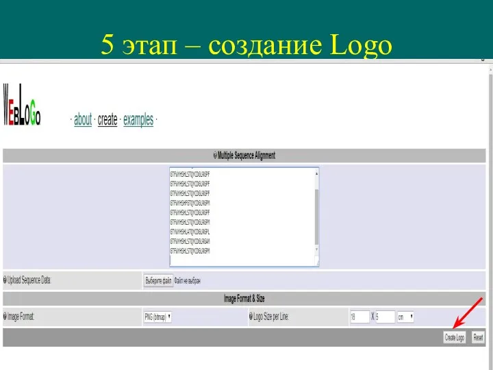 5 этап – создание Logo