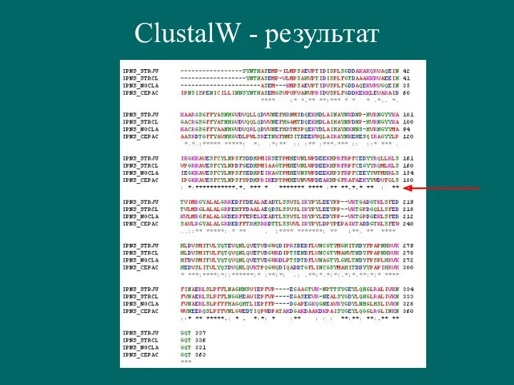 ClustalW - результат