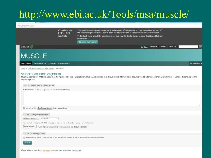 http://www.ebi.ac.uk/Tools/msa/muscle/