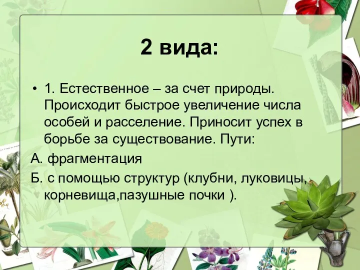 2 вида: 1. Естественное – за счет природы. Происходит быстрое