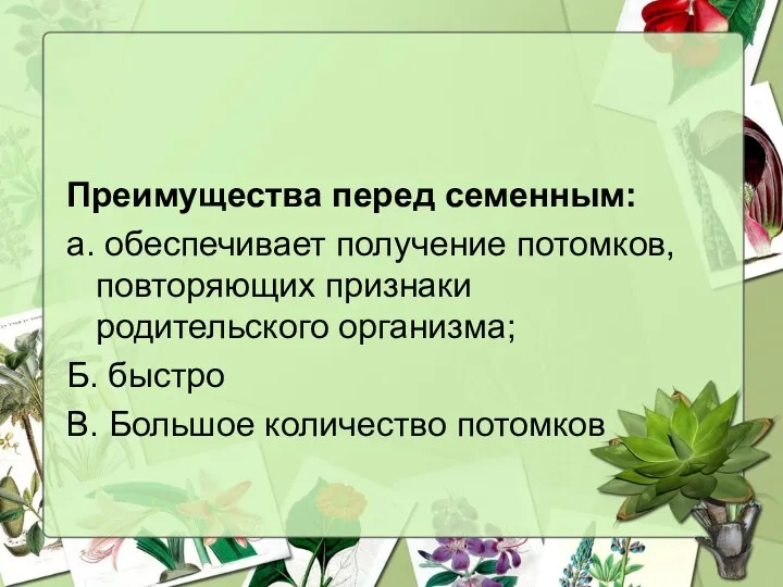 Преимущества перед семенным: а. обеспечивает получение потомков, повторяющих признаки родительского