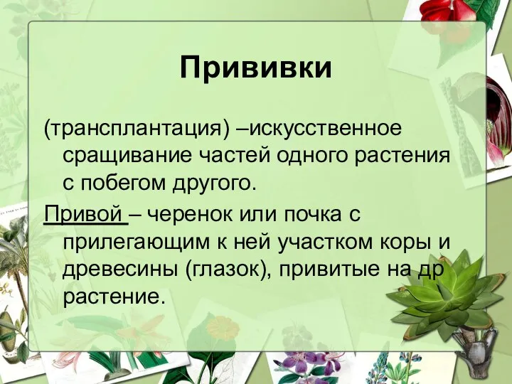 Прививки (трансплантация) –искусственное сращивание частей одного растения с побегом другого.