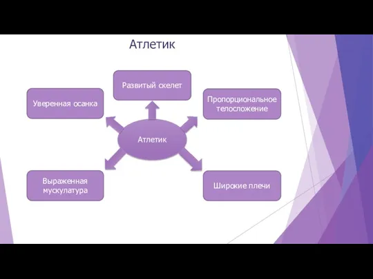 Атлетик Атлетик Пропорциональное телосложение Широкие плечи Развитый скелет Выраженная мускулатура Уверенная осанка