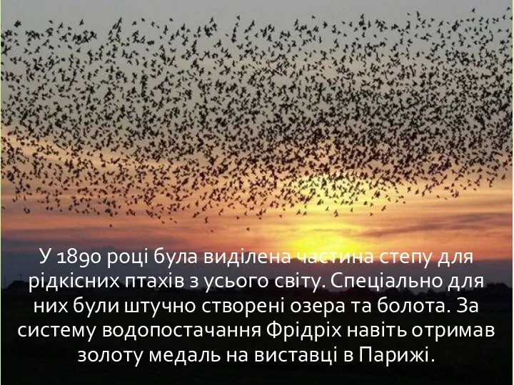 У 1890 році була виділена частина степу для рідкісних птахів
