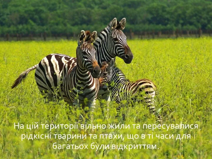 На цій території вільно жили та пересувалися рідкісні тварини та