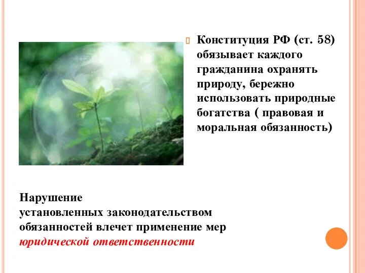 Конституция РФ (ст. 58) обязывает каждого гражданина охранять природу, бережно