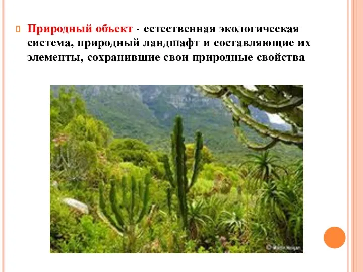 Природный объект - естественная экологическая система, природный ландшафт и составляющие их элементы, сохранившие свои природные свойства