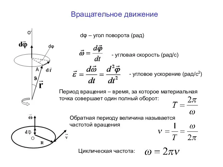 Вращательное движение dφ – угол поворота (рад) - угловая скорость (рад/с) - угловое